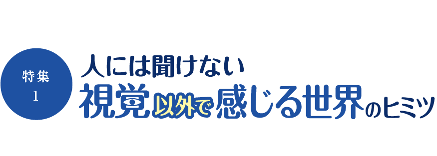 ［特集1］ 人には聞けない視覚以外で感じる世界のヒミツ